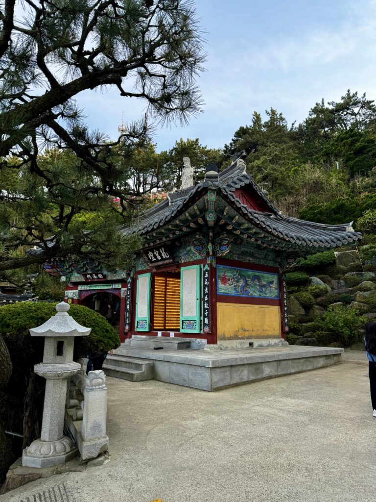 coree seoul 30