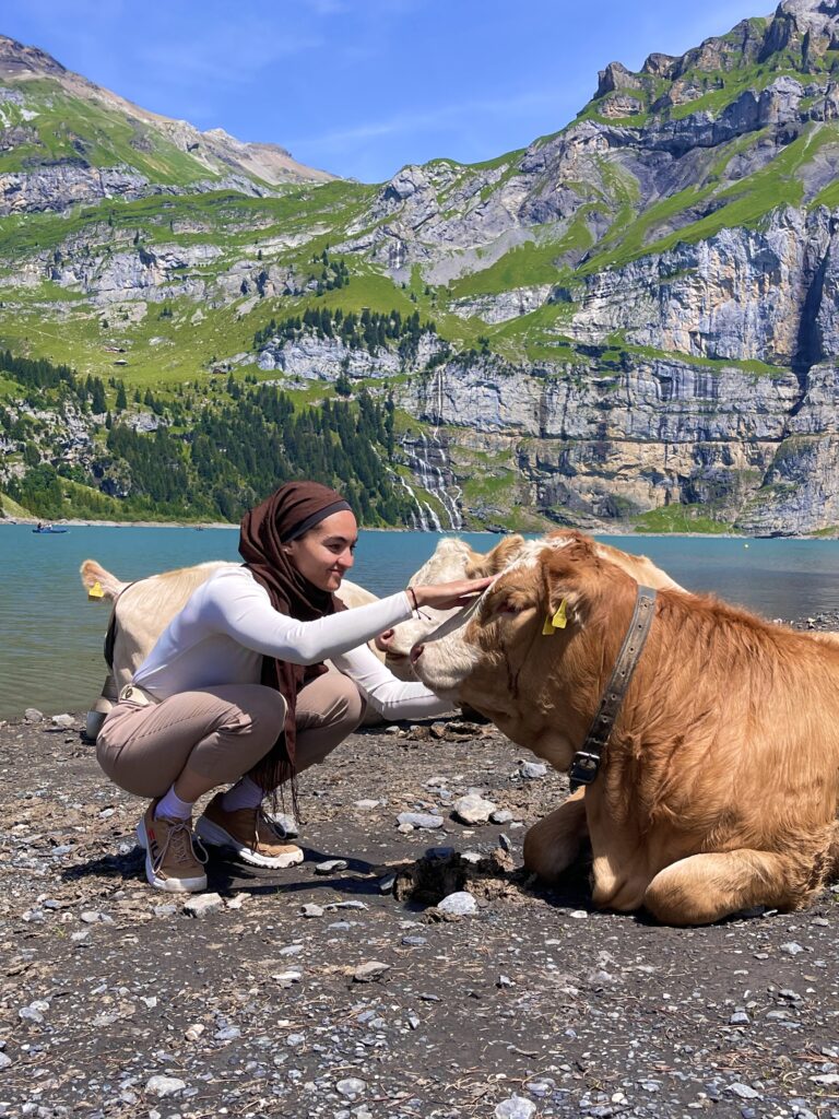 Suisse - août 2026 suisse 18