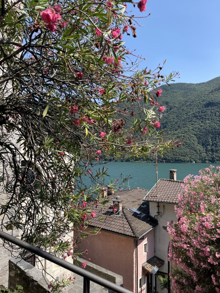 Suisse - août 2026 suisse 38